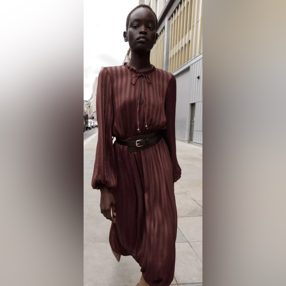Zara Midi Belt Dress | NWT